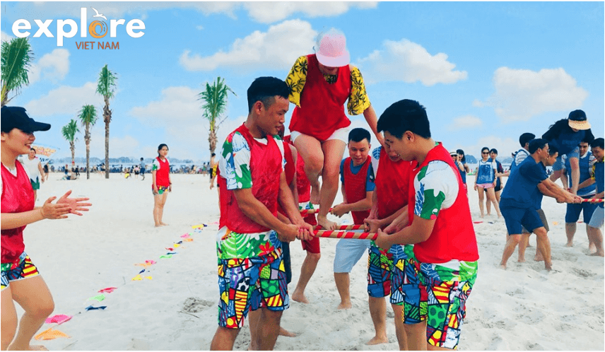 Tổ chức hoạt động Team Building